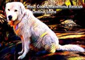 West Coast Maremma Rescue