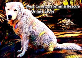 West Coast Maremma Rescue