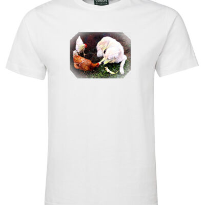 Mens - chickens Thumbnail