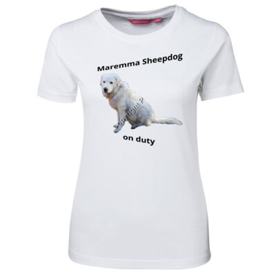 Ladies - Maremma on duty Thumbnail