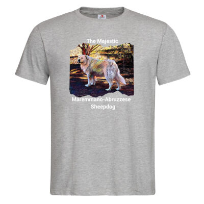 Mens - Maremmano-Abruzzese Thumbnail