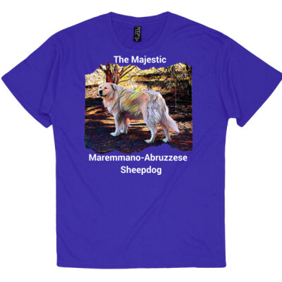 Mens - Maremmano-Abruzzese Thumbnail