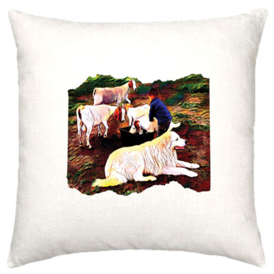 Cushion Cover- A boy and his dog Thumbnail