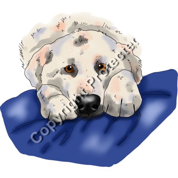 maremmatransp Thumbnail