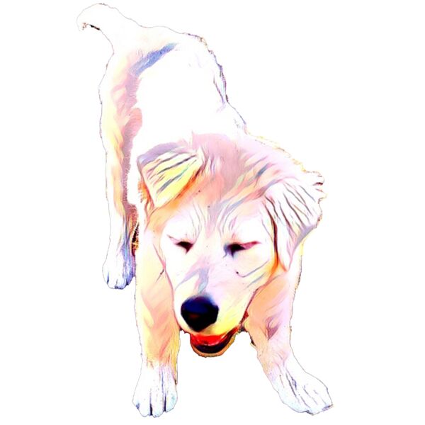 Luna pup medium Thumbnail