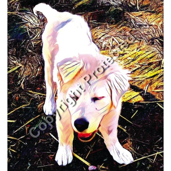 Luna pup background Thumbnail