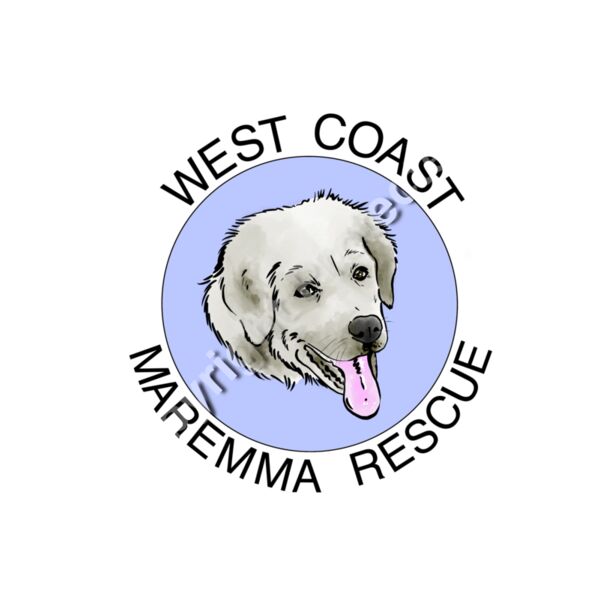 Puppy WCMR1 Thumbnail