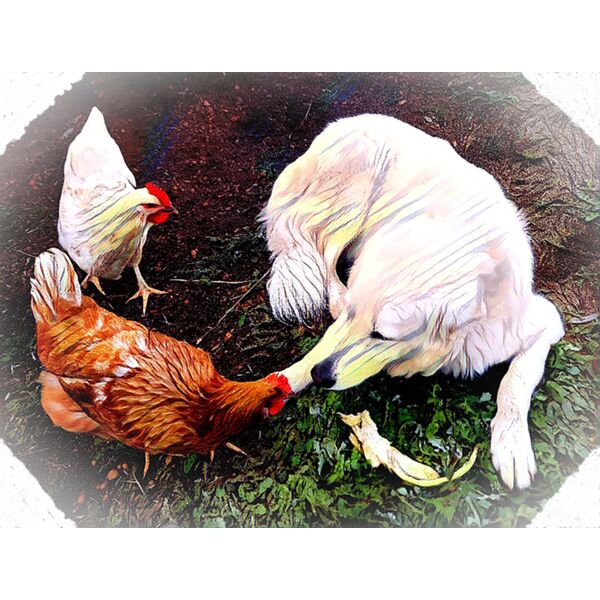 Blossom and chickens feath1 Thumbnail