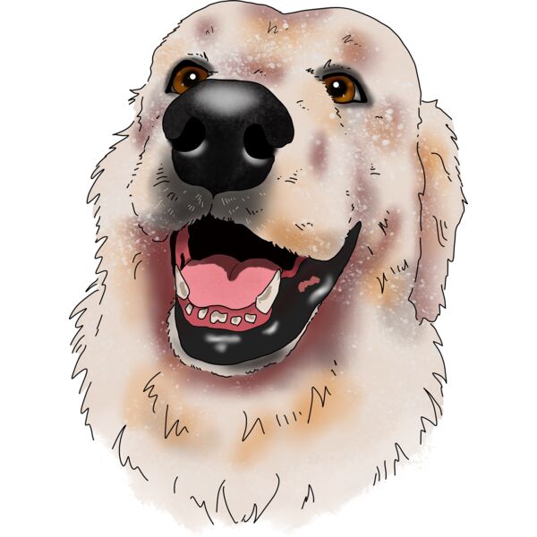 maremsmilewtransmedium Thumbnail