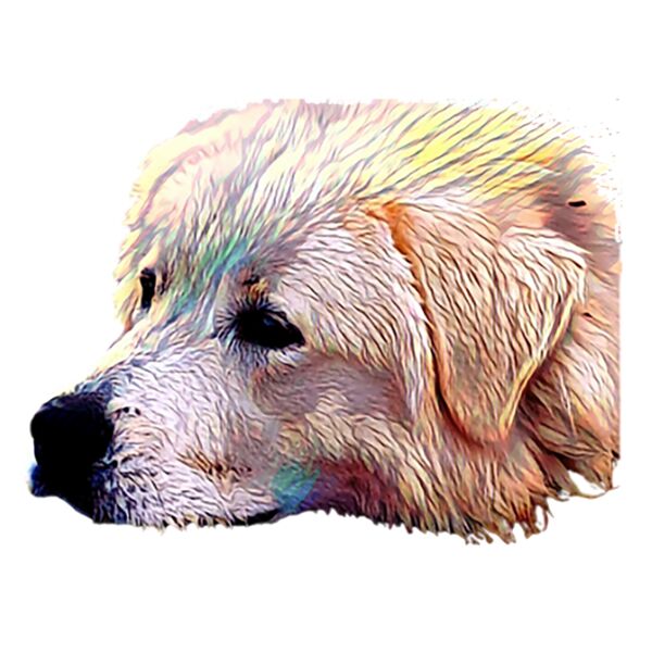 Maverick head 1 Thumbnail