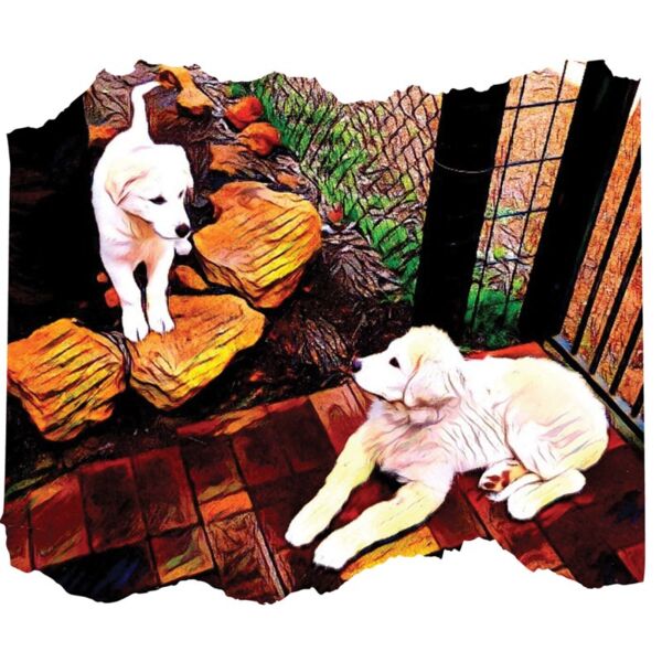 Two puppies1 Thumbnail