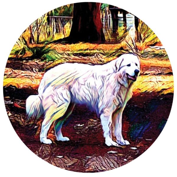 Buckley standing circle Thumbnail