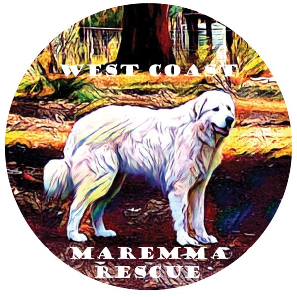 Buckley standing circle  2  Thumbnail